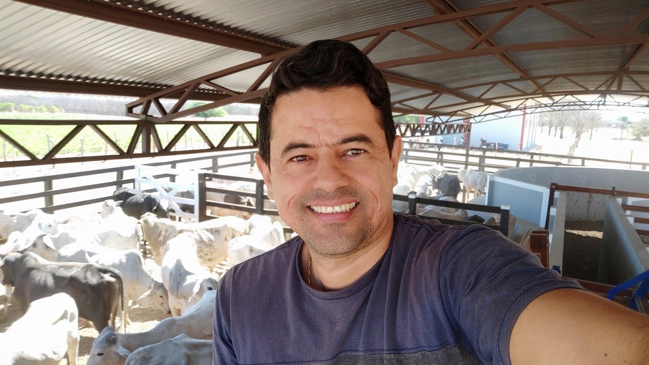 CURRAL SEMI ANTI-STRESS! TRONCO DE CONTENÇÃO AMERICANO.
