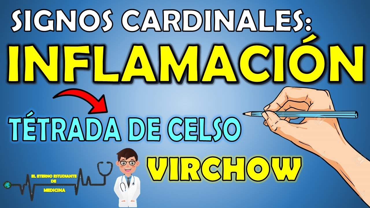 SIGNOS CARDINALES DE LA INFLAMACI&Oacute;N [ Pregunta de examen #1 ] - El Eterno Estudiante de Medicina 📝