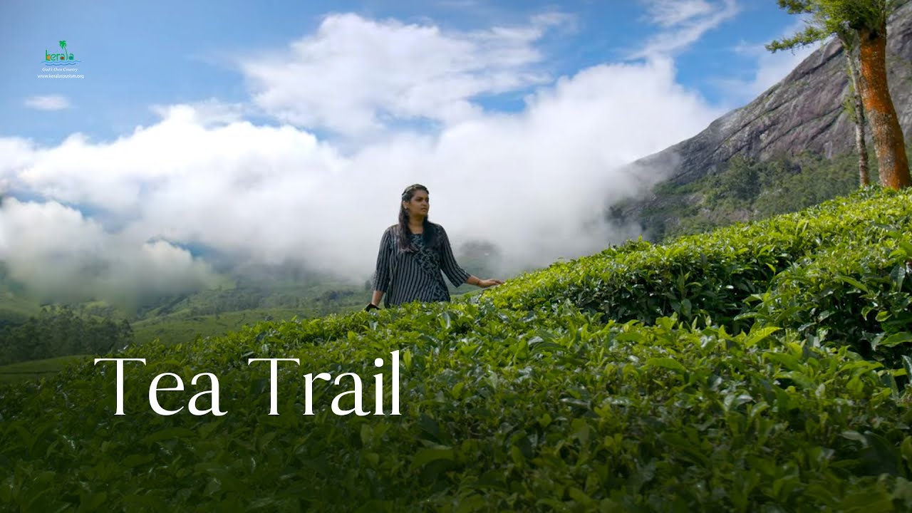 Tea Trail | Munnar | Idukki Tour | Kerala Tourism