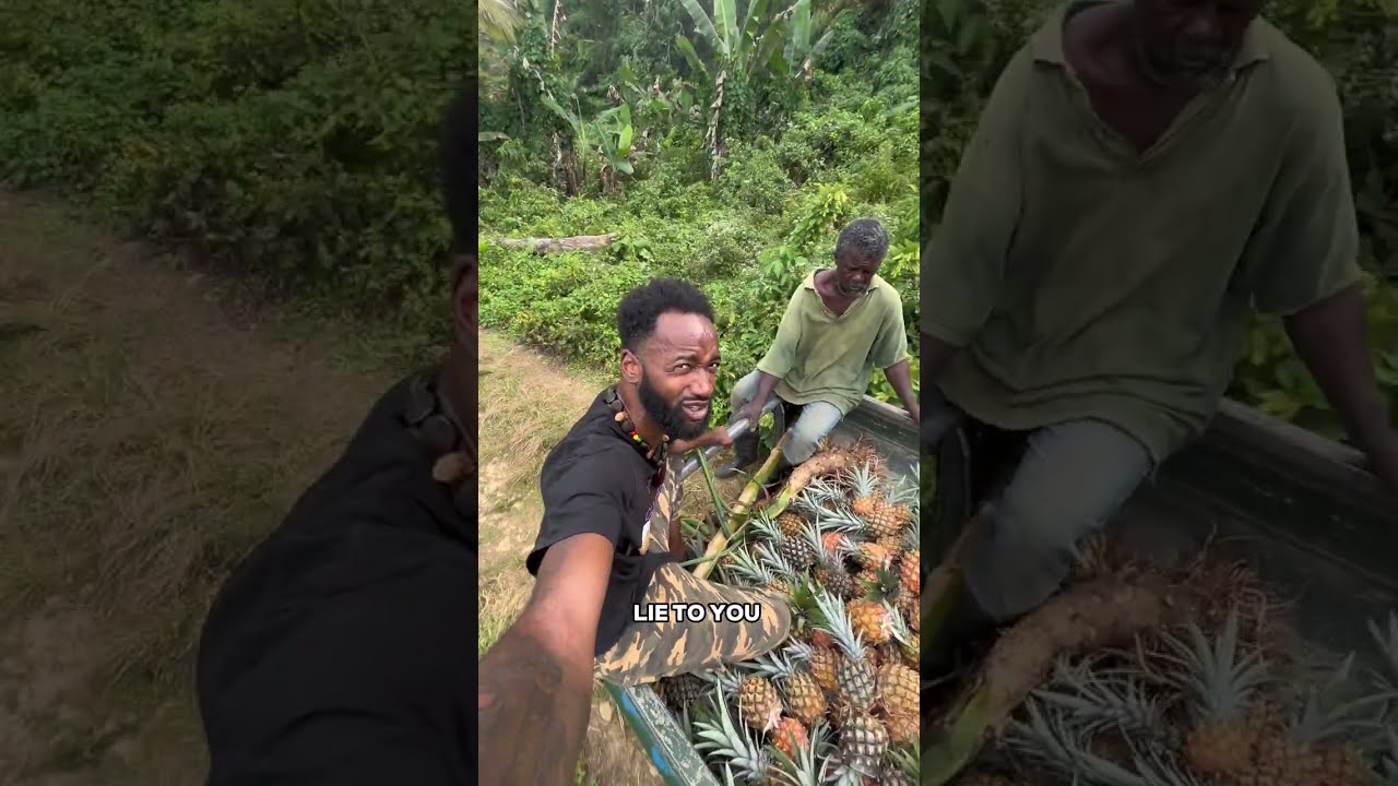 Bushman Pineapple Pickup in Jamaica 🍍🇯🇲🛻 [PART 7]