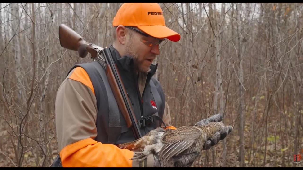 Bird Dogs and Shotguns