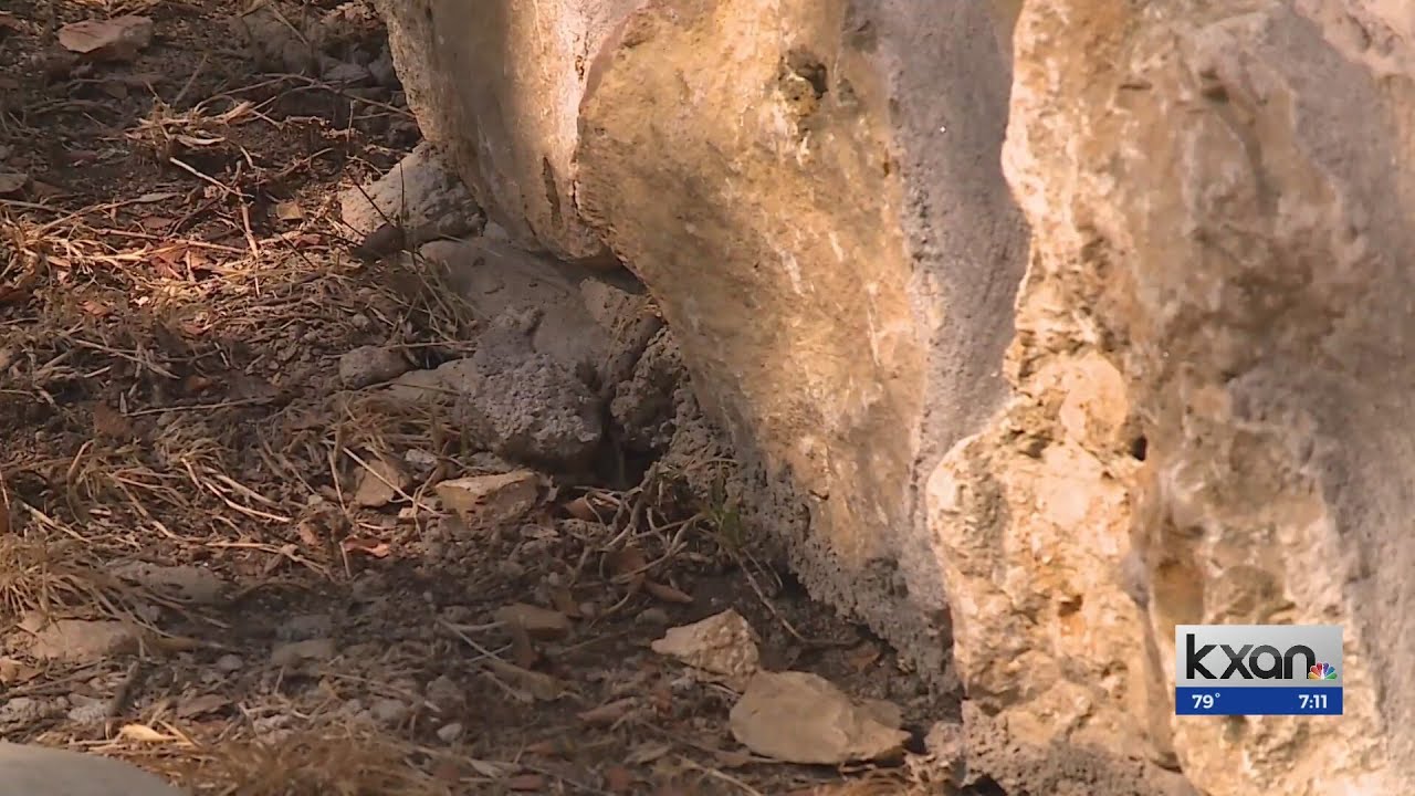 ‘7 out of 10’ homes have drought foundation problems