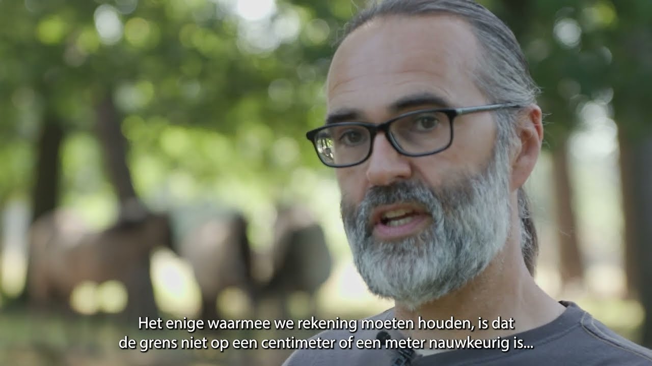 PROJECT LOSLOPEND VEE 🐑🐄 - De voordelen voor natuurbeheer