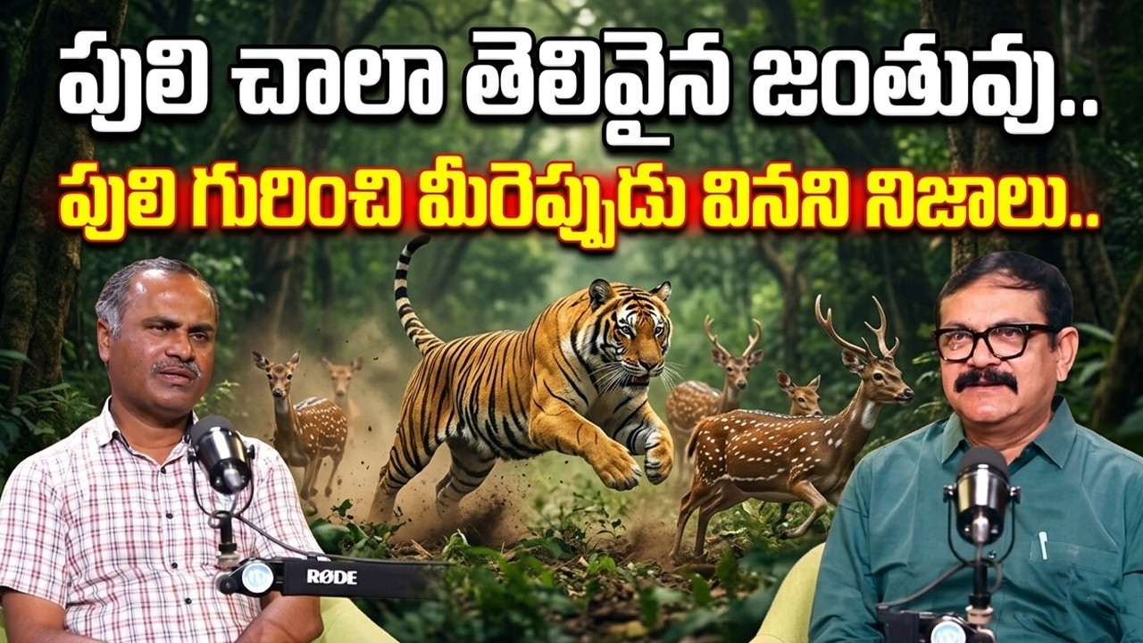 Forest Officer Ram Mohan About Tiger | Facts about Tiger | iDream Media