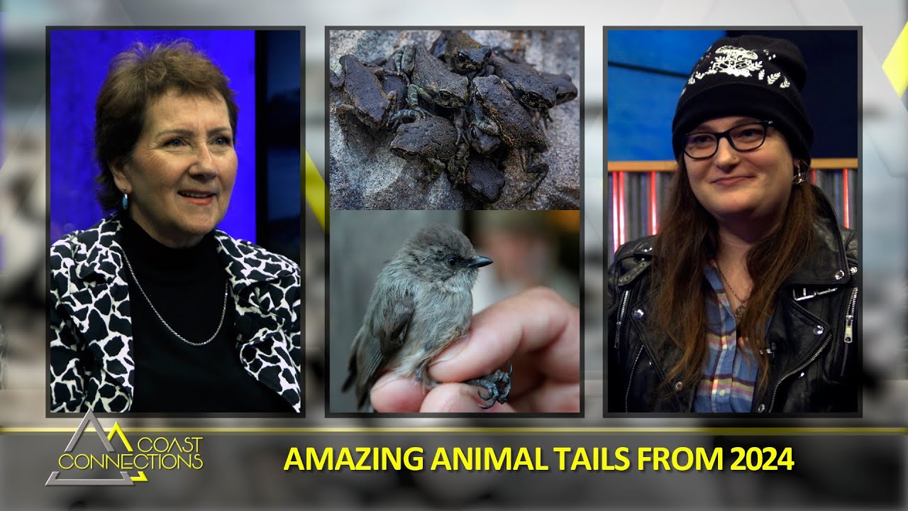 Coast Connections - The Top Animal Tails from 2024 with guest Jessica Durling.