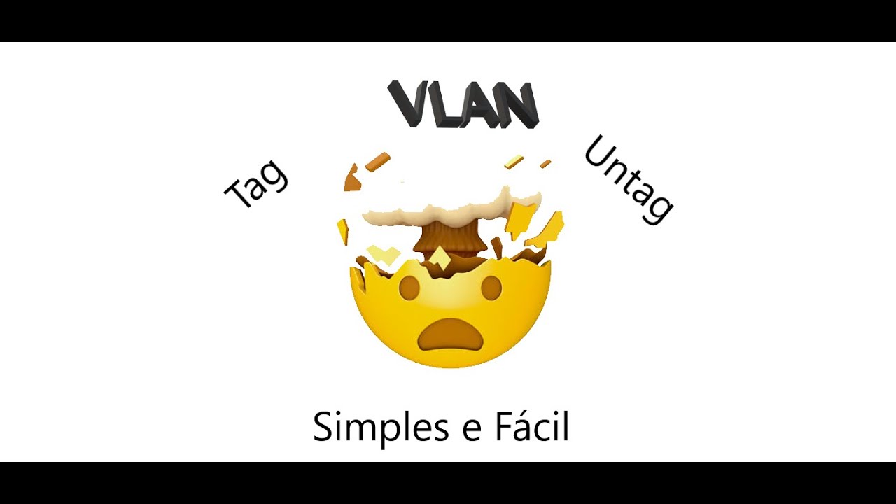 Entenda VLAN Untagged e Tagged teoria e prática TP LINK ER605.