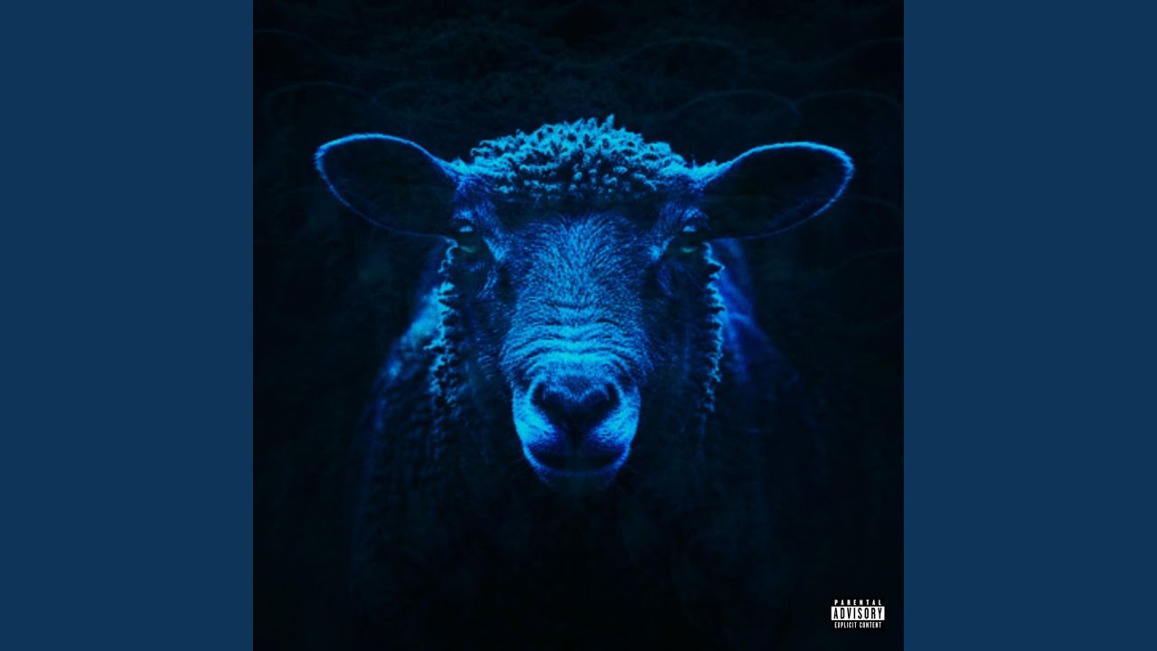 Black sheep