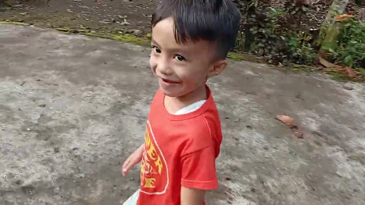 MARATON BERSAMA KUCING ANGGORA