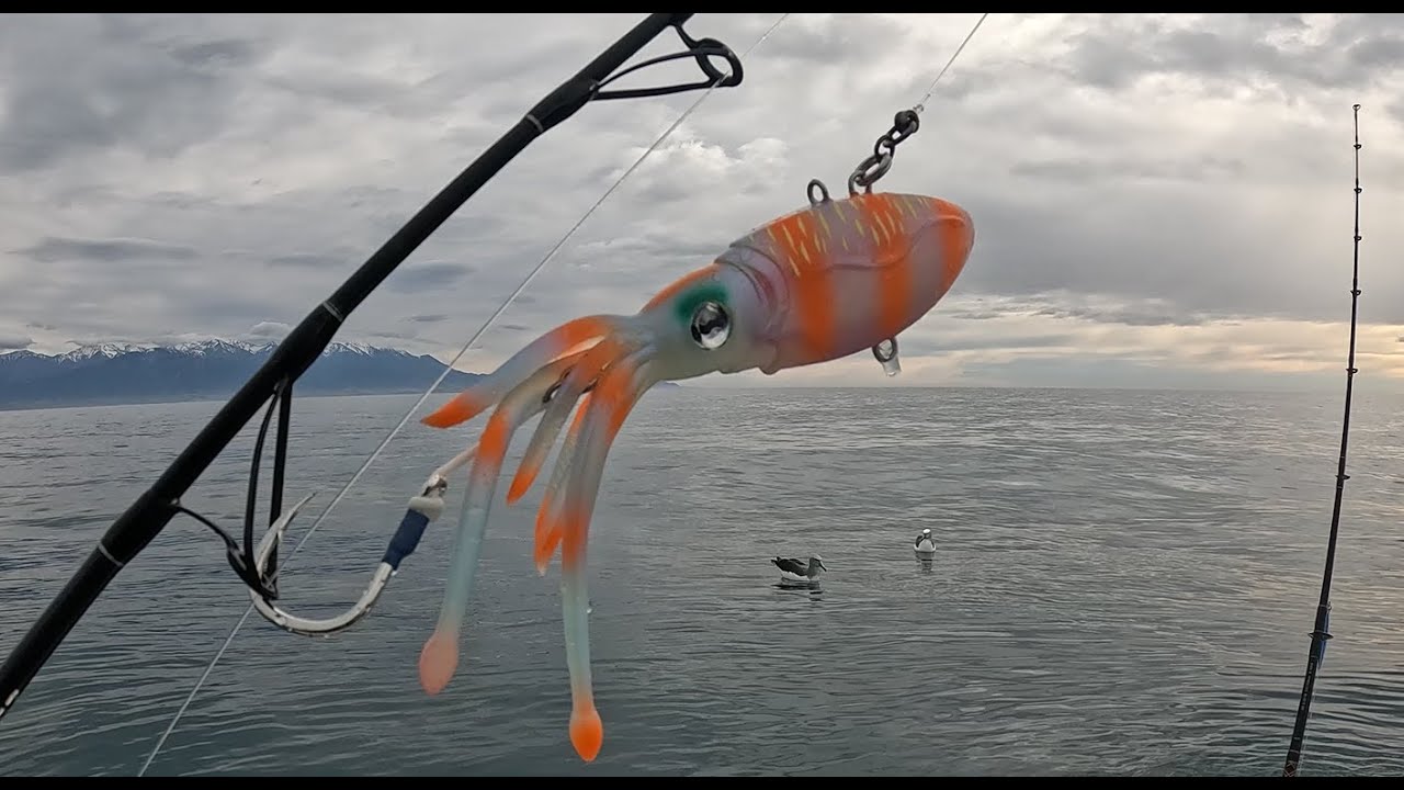 Kaikoura fishing trip.