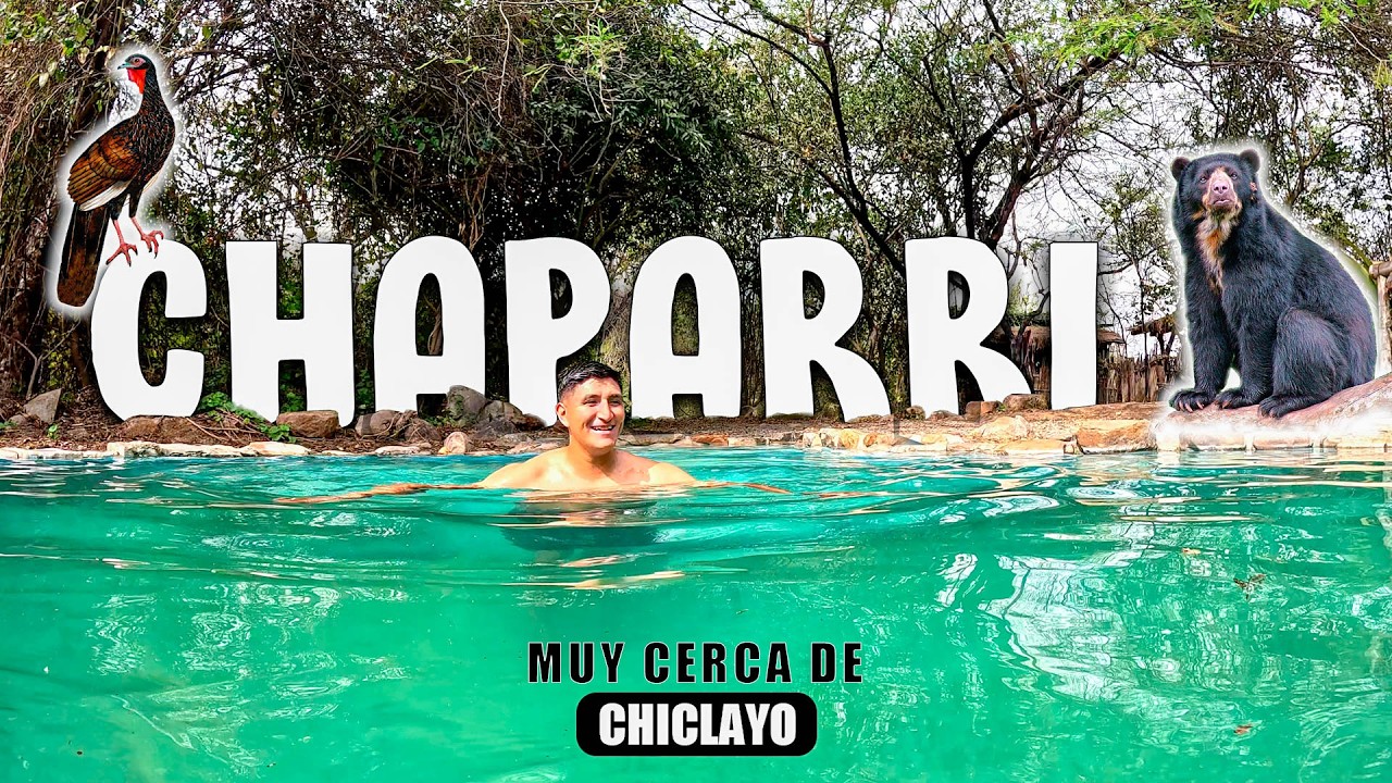 CHAPARRI🌳el 