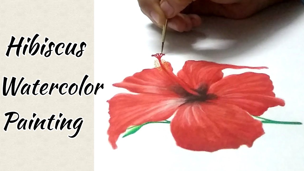 How to draw hibiscus with watercolor | Full Video 