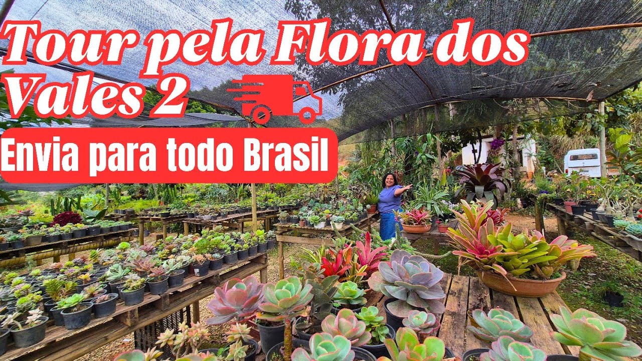 TOUR PELA FLORA DOS VALES NA LAJINHA TEÓFILO OTONI/MG: PLANTAS DE TODAS AS ESPÉCIES | PREÇOS ÓTIMOS