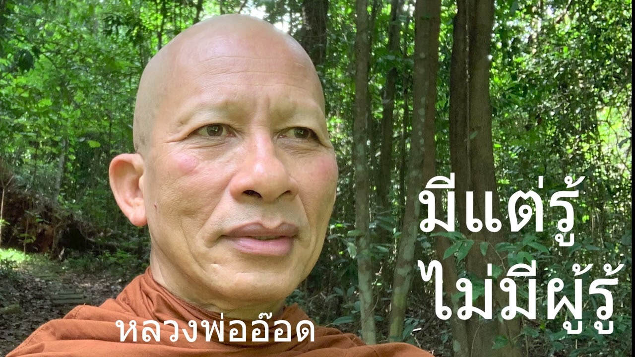 680802A-มีแต่รู้ ไม่มีผู้รู้ #หลวงพ่ออ๊อด วัดป่าสุคะโต