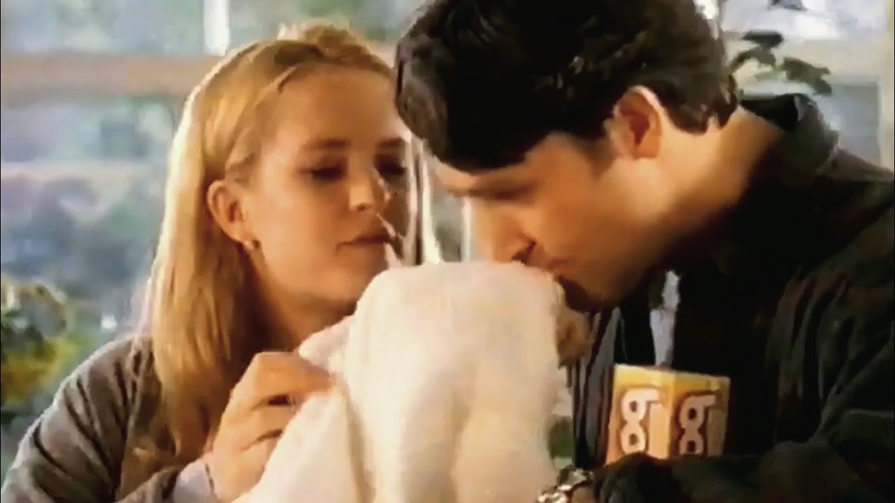 1995: Bounce Dryer Sheets [Spring Fresh]