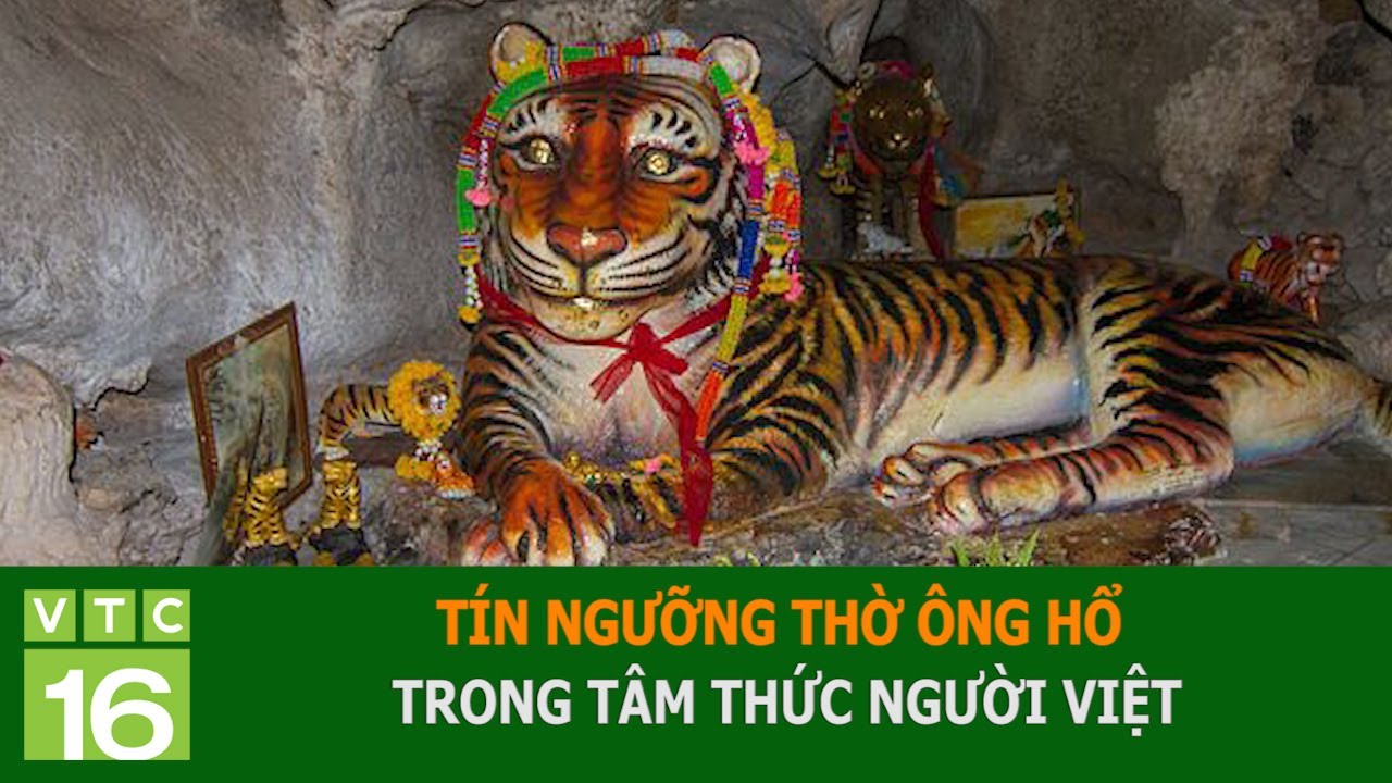 TÍN NGƯỠNG THỜ ÔNG HỔ TRONG TÂM THỨC NGƯỜI VIỆT | VTC16