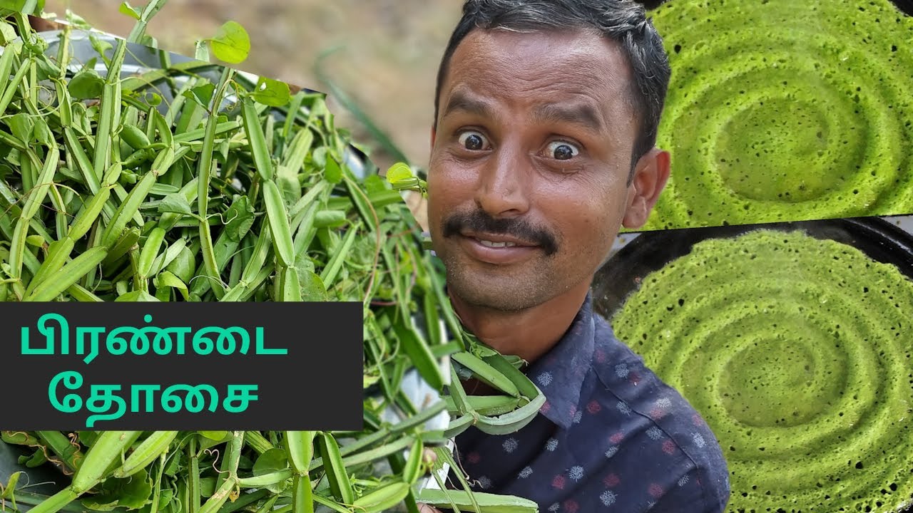 பெண்கள் பிரச்சனையை தீர்க்கும் பிரண்டை தோசை | PIRANDAI DOSAI | Adamant Creeper Dosa Recipe