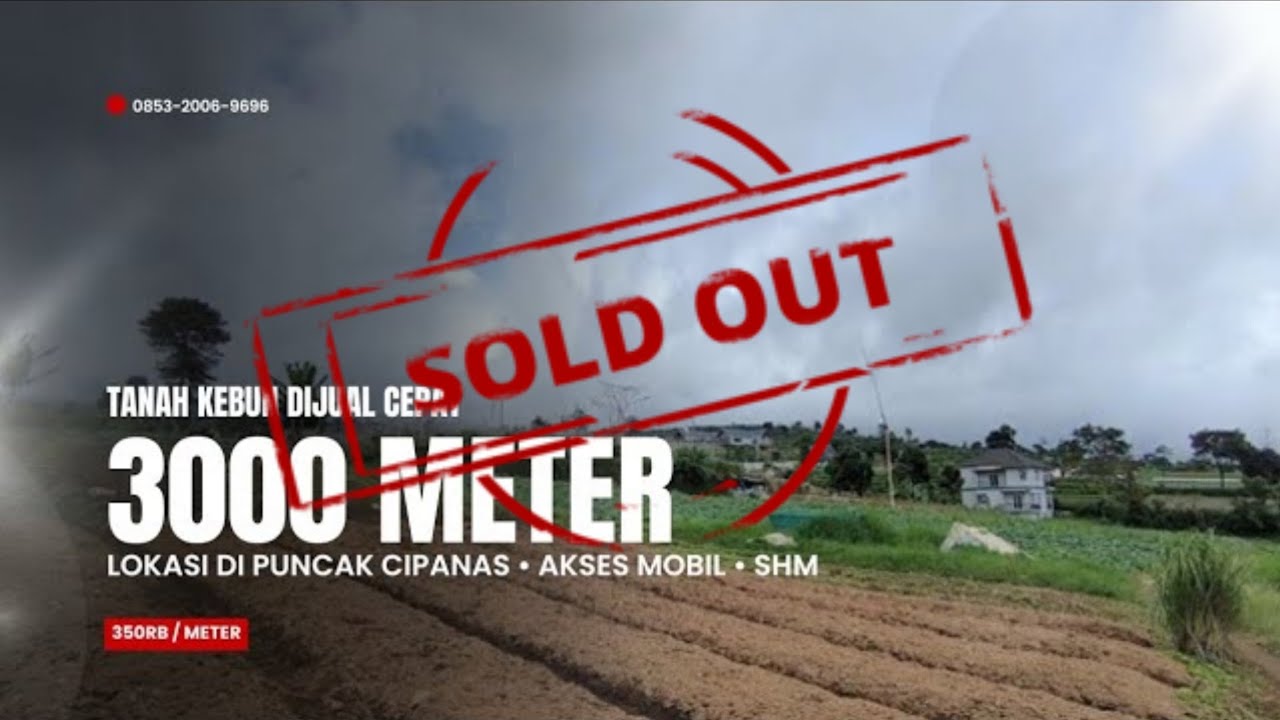 DIJUAL TANAH DI PUNCAK | LUAS 3000 METER SUDAH SHM | COCOK UNTUK BANGUN VILLA