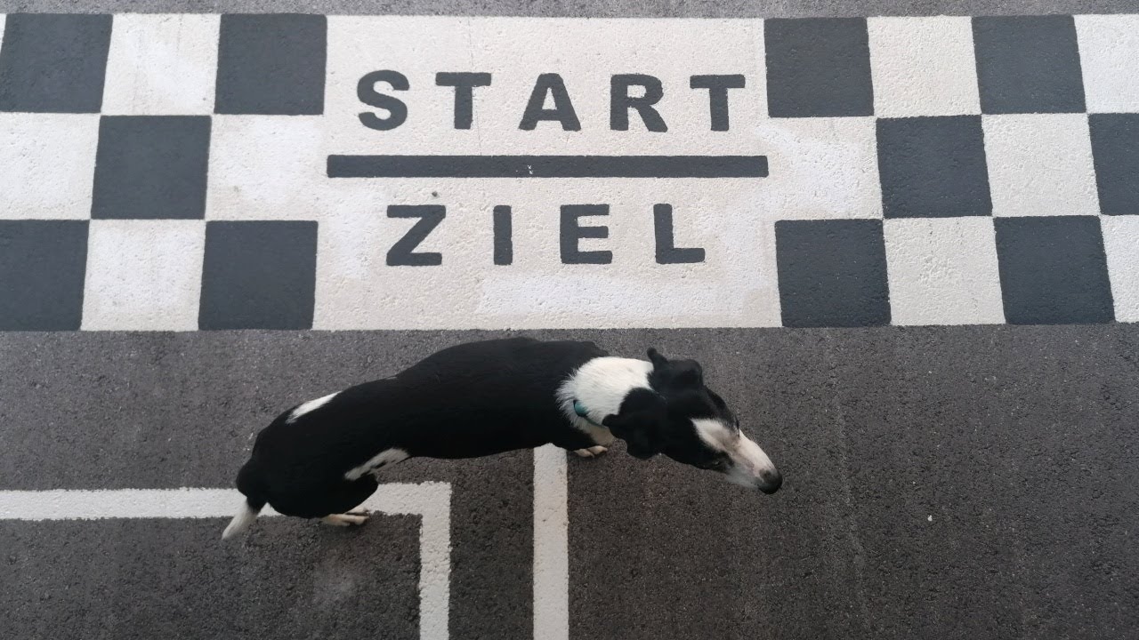 Triestingtal Ring - Gokart