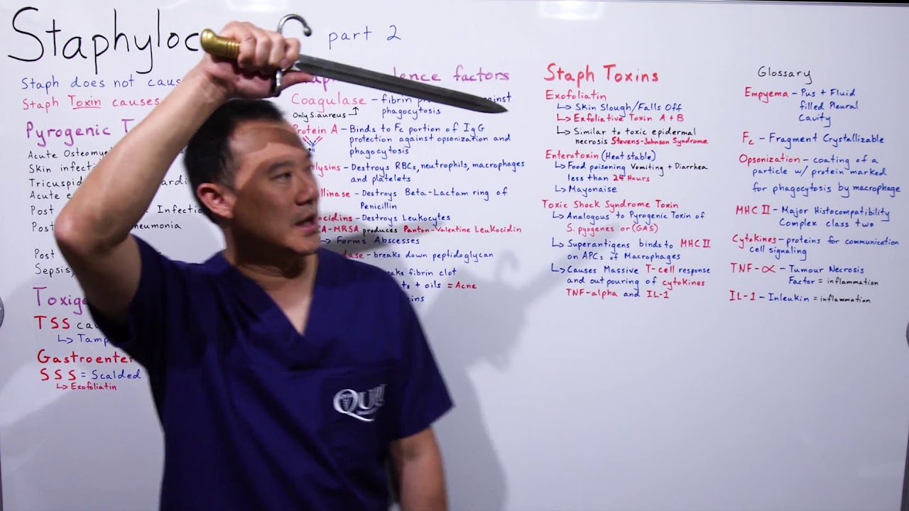Staphylococcus Part 2 of 5