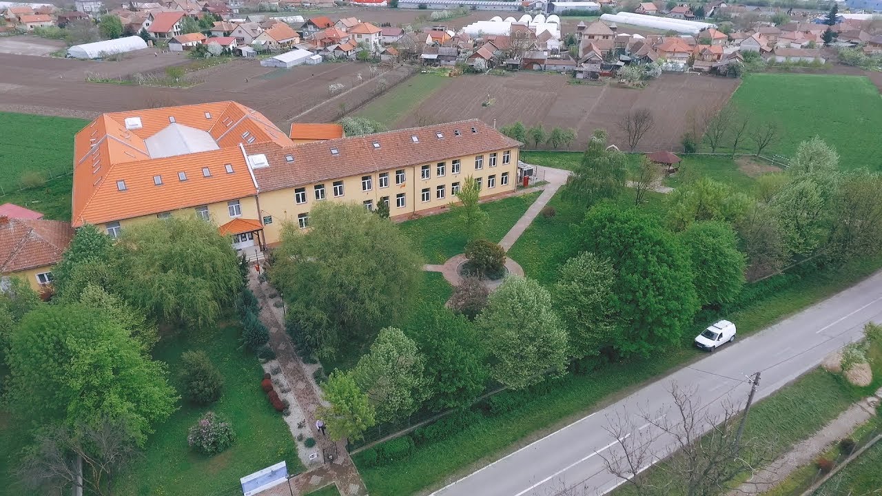Tamási Áron Líceum - Bors