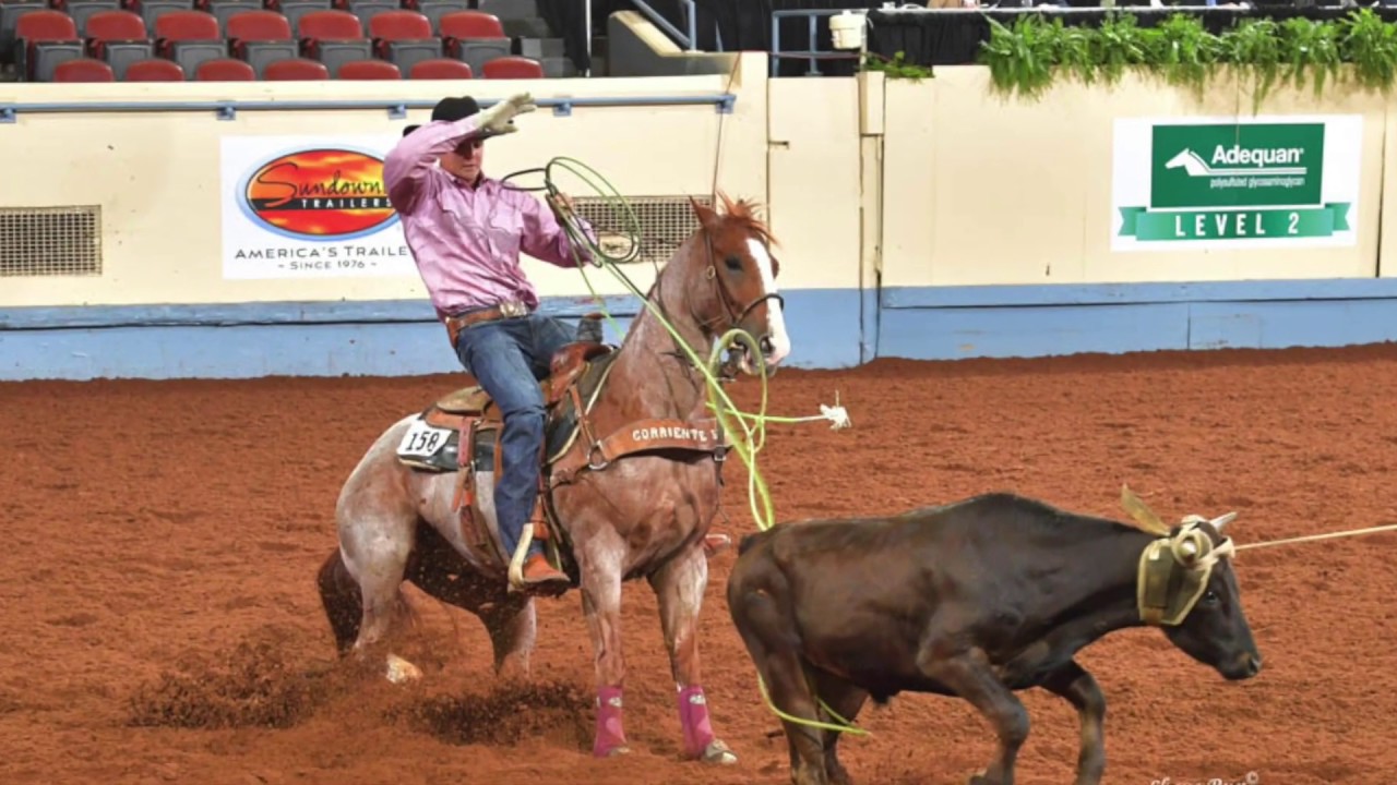 2019 Ford AQHYA Heeling World Champion