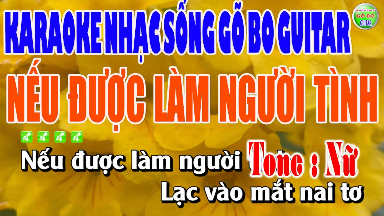 Karaoke Nếu Được Làm Người Tình Tone Nữ Nhạc Sống Guitar Gõ Bo Cực Dễ Hát Karaoke Gõ Bo Guitar