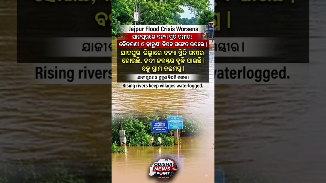 🚨 Jajpur Flood Crisis Worsens: Rivers Rise, Villages Remain Waterlogged #news