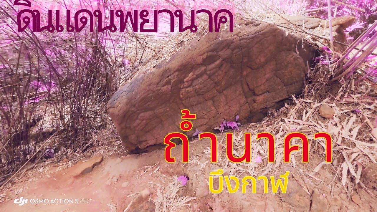 ถ้ำนาคา บึงกาฬ ดินแดนพยานาค