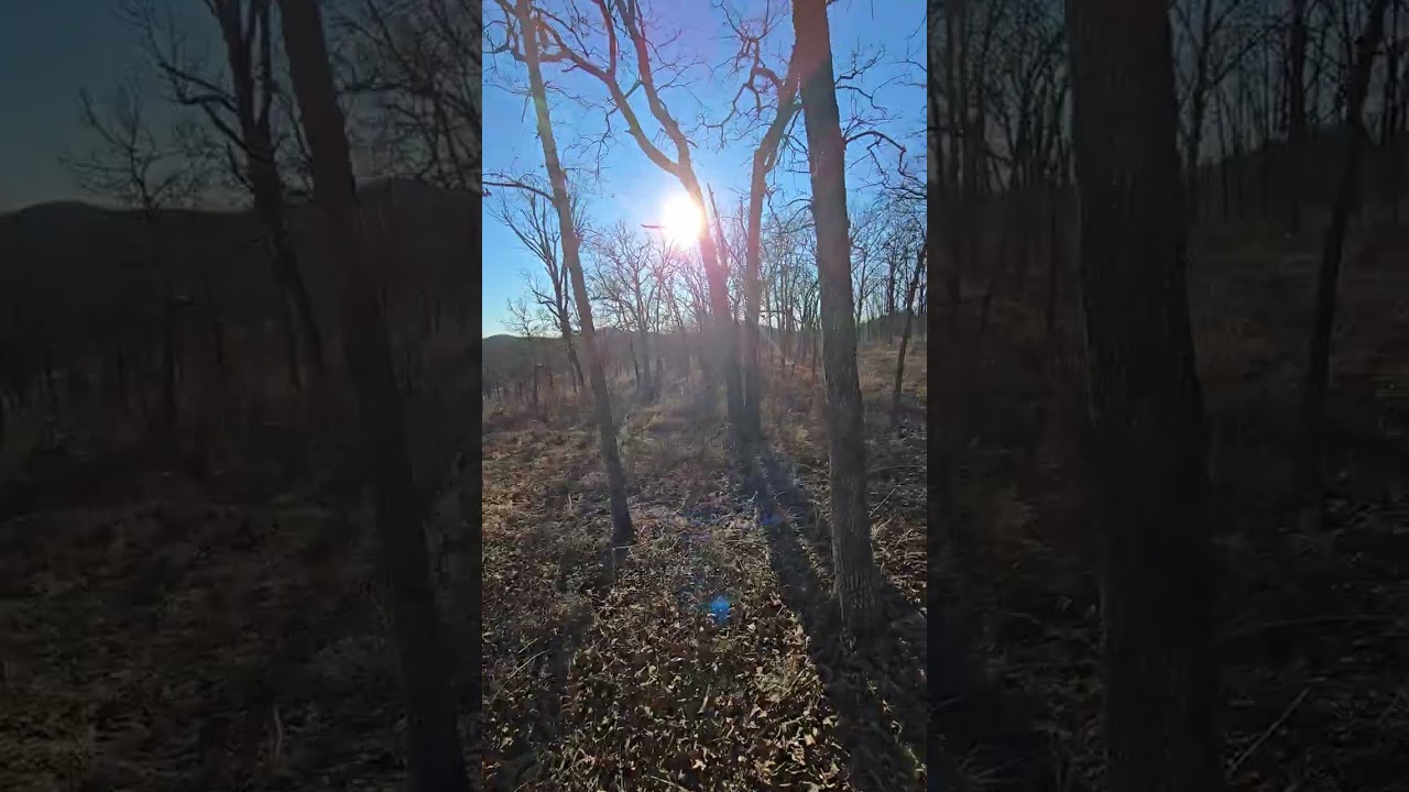 Long bald at Caney Mountain in Missouri 