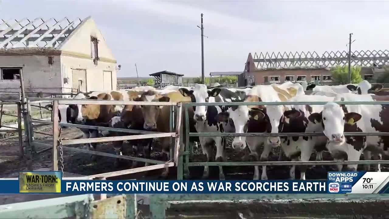 War-torn: Stories from Ukraine - Farmers face the war up close