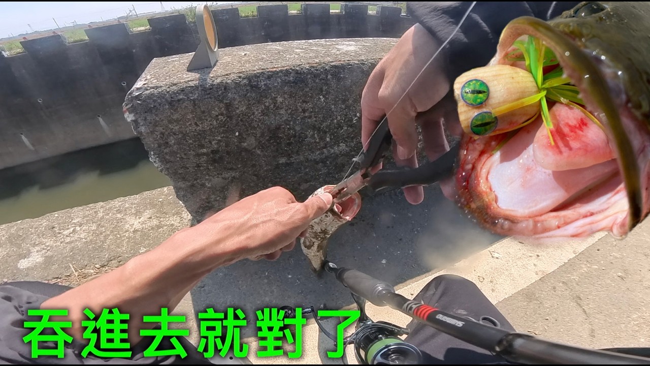 踏上尋找小呆之旅！給他吞深一點就對了！！