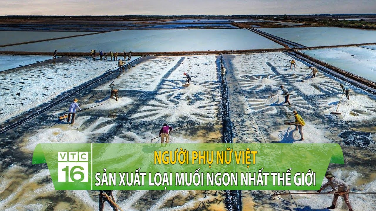Người phụ nữ Việt sản xuất hạt muối ngon nhất thế giới | VTC16