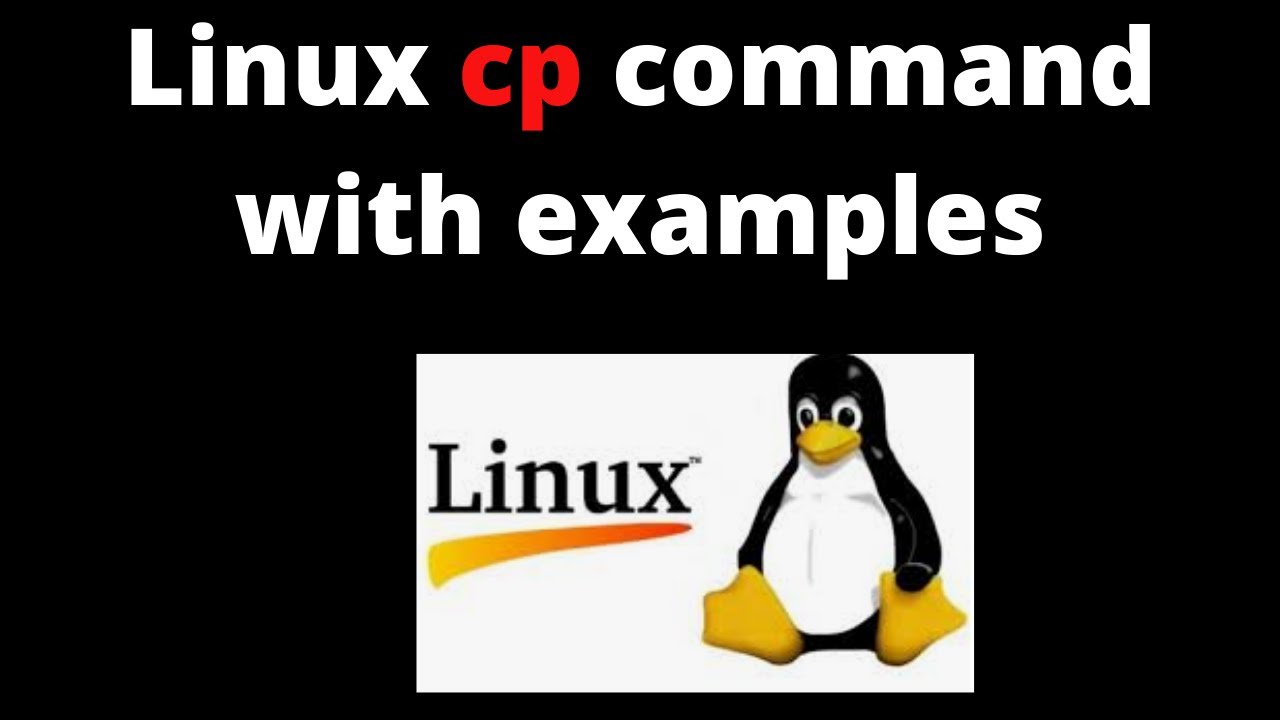 6. Учебные пособия по Linux: команда cp в Linux с примерами