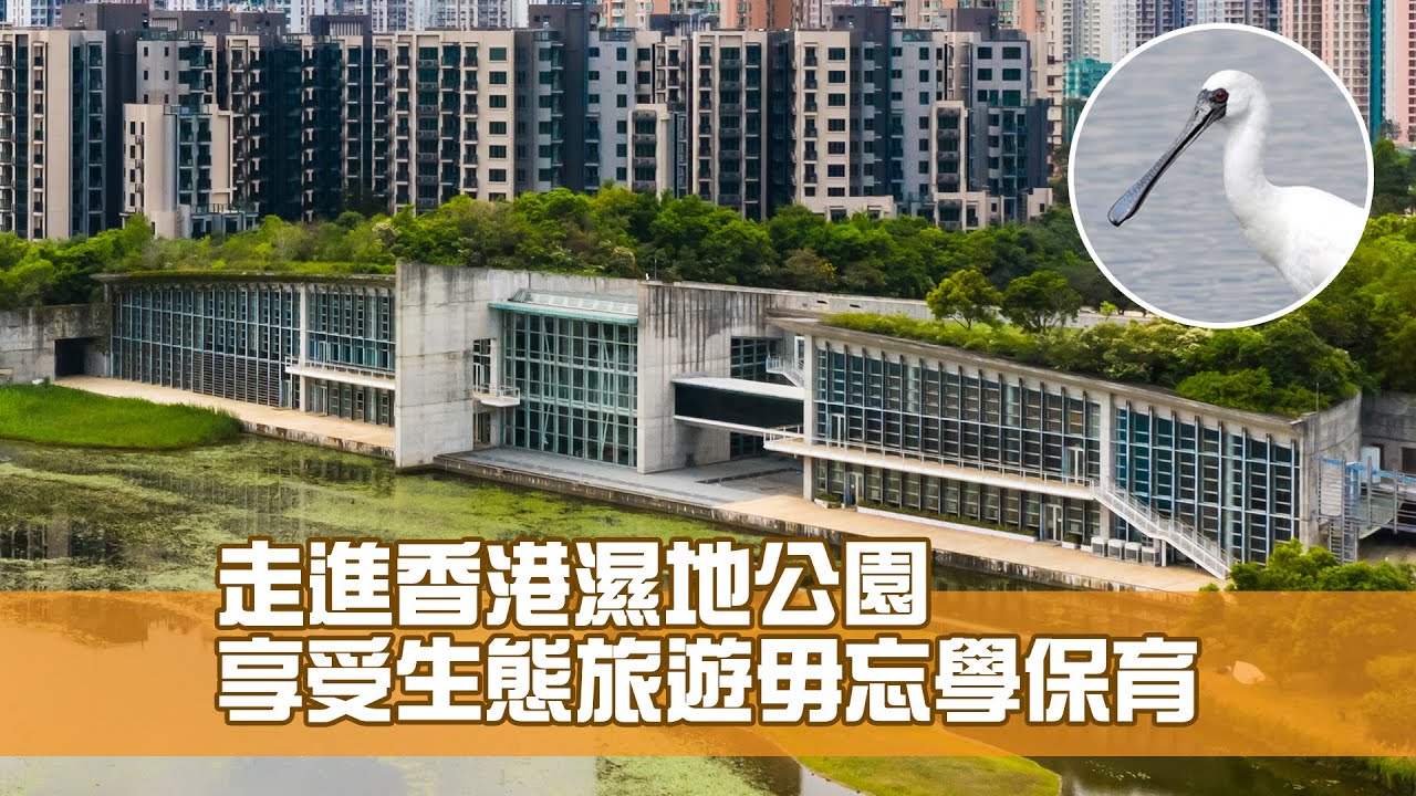 走進香港濕地公園 享受生態旅遊毋忘學保育