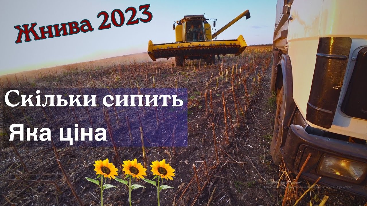 Жнива 2023💲  Врожаю немає❓ Купив гнучкий шнек✔️