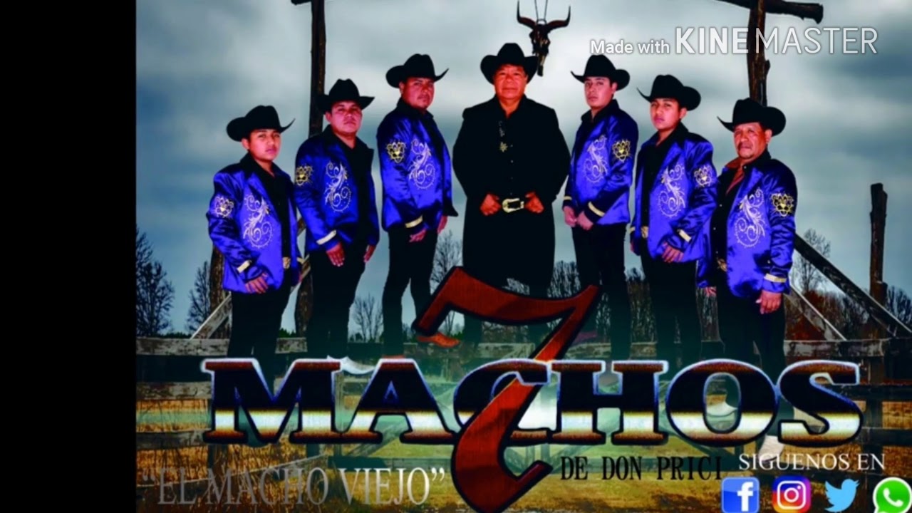 La original banda 7 Machos de Nurio Michoacan