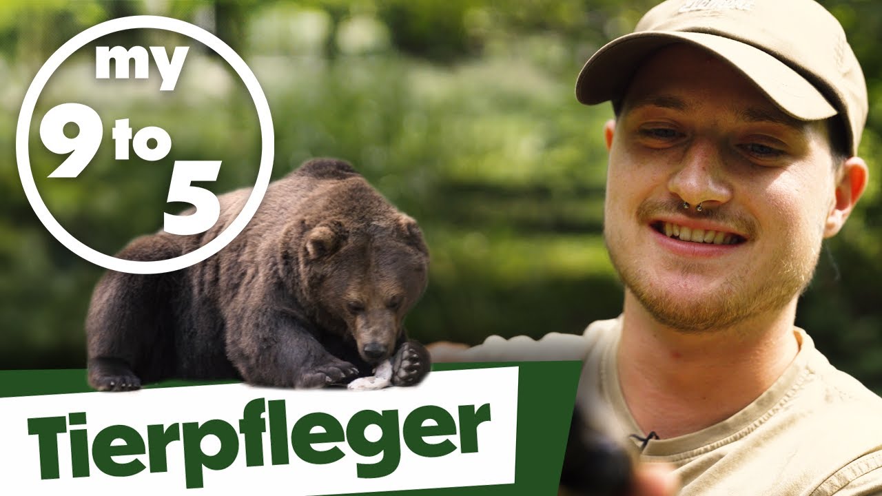 Wilder Alltag statt Bürojob | my9to5 - Jobwahrheiten