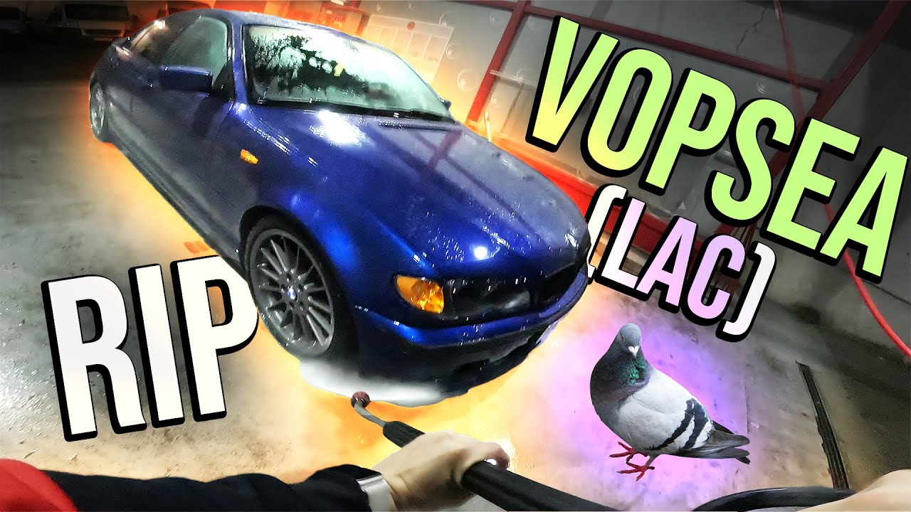 VOPSEAUA PROASPATA si PORUMBEII *satisfying*