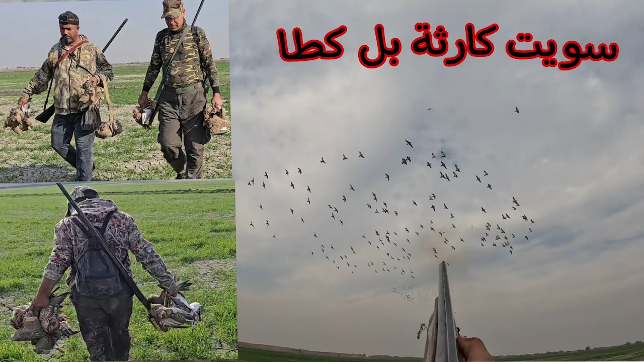سفرة صيد الكطا والدراج فيديو بصيط انشالله ينال اعجابكم