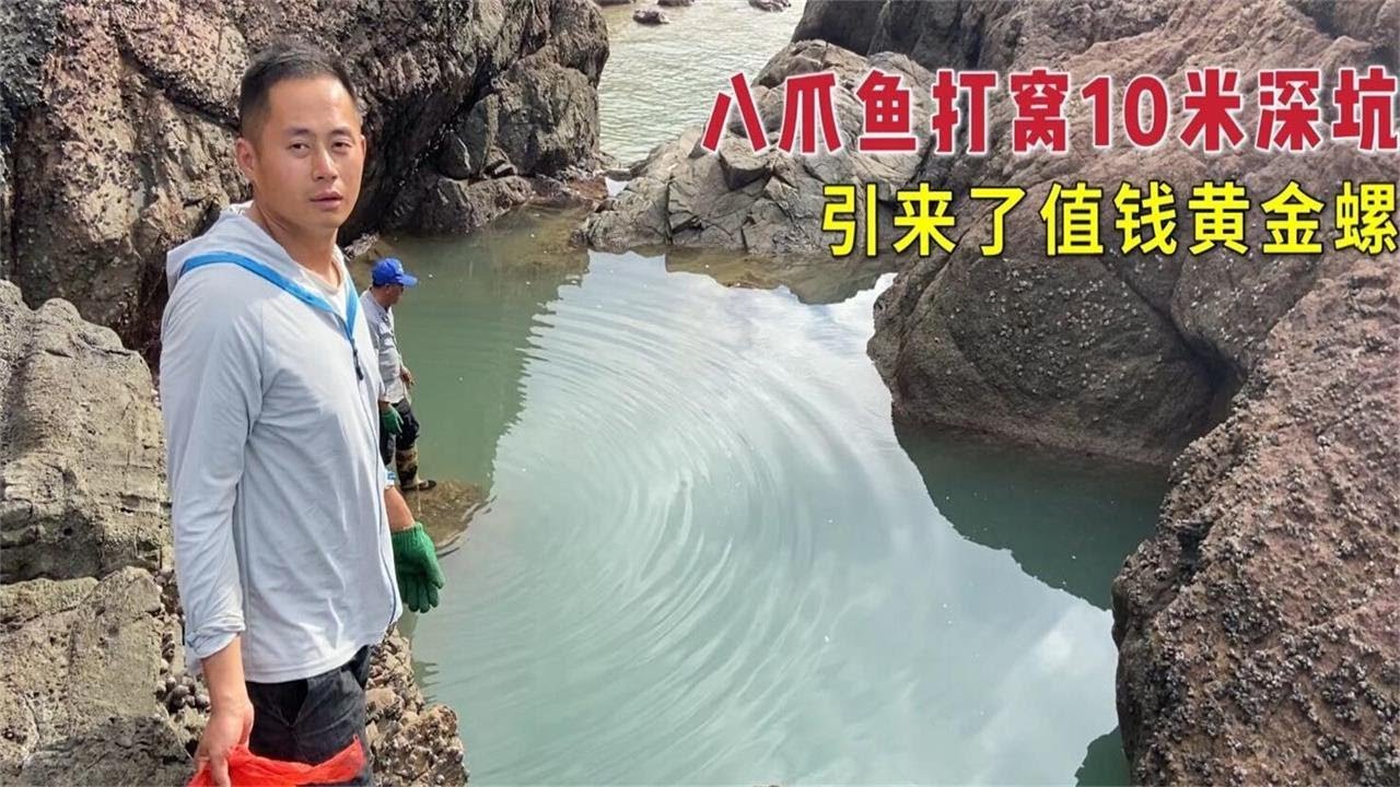 【阿向赶海】 3台战机狂抽10米深坑 鲨鱼聚窝连抓十几条 200一斤黄金螺手到擒来