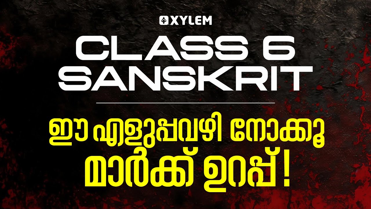 Class 6 Sanskrit Christmas Exam 2025 | ഈ എളുപ്പവഴി നോക്കൂ – മാർക്ക് ഉറപ്പ് 💯 | Xylem Class 6