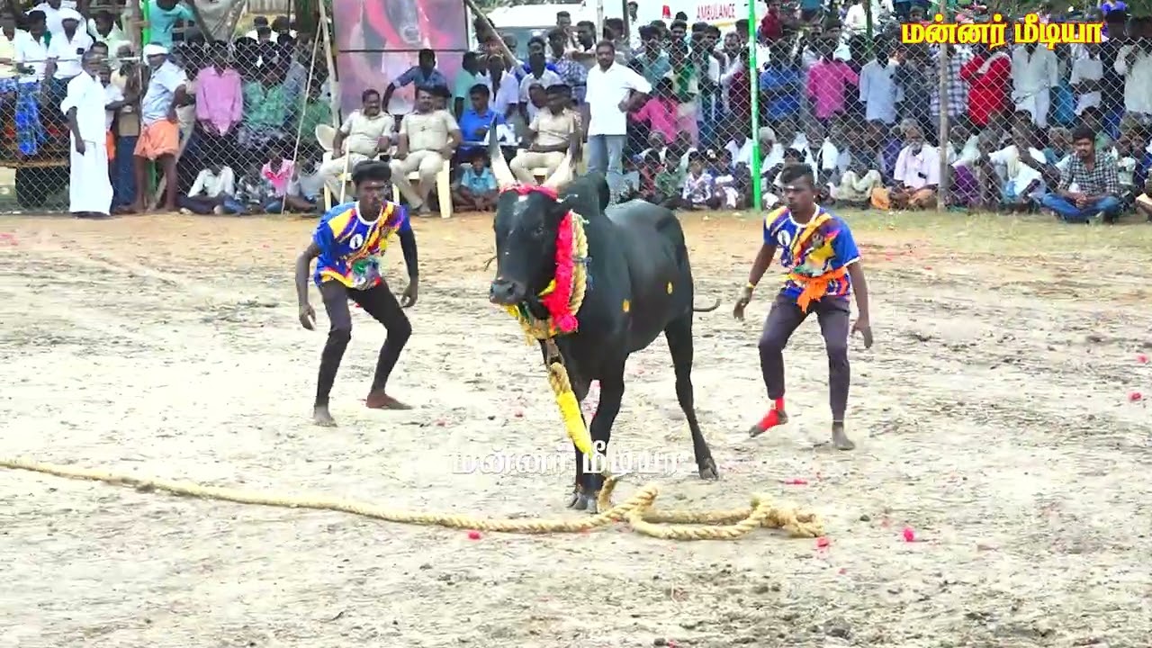 மதகுபட்டி அரசுமகன் கருப்பர் குழு வீரர்கள்  2025