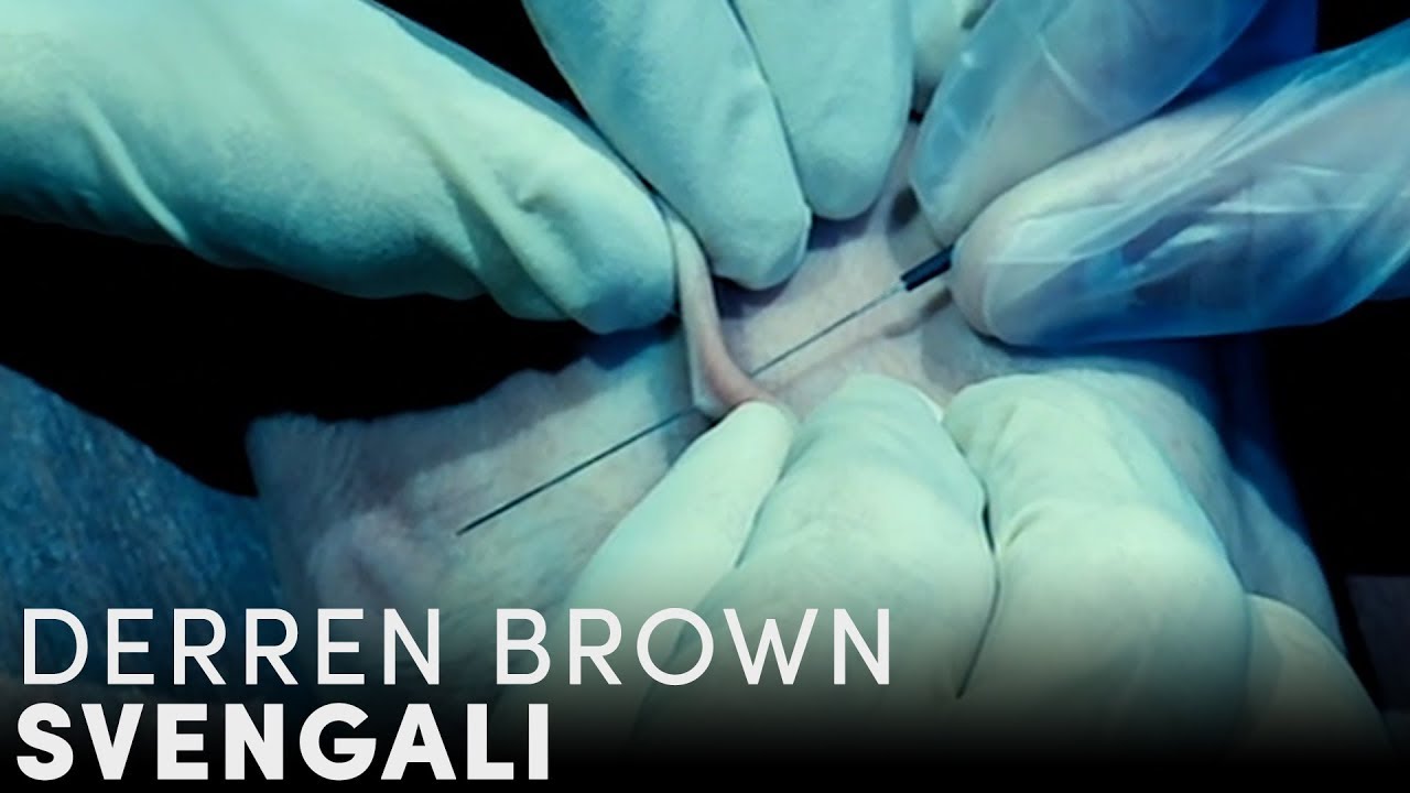 Derren Brown Convinces Someone To Put A Needle Through Their Hand!