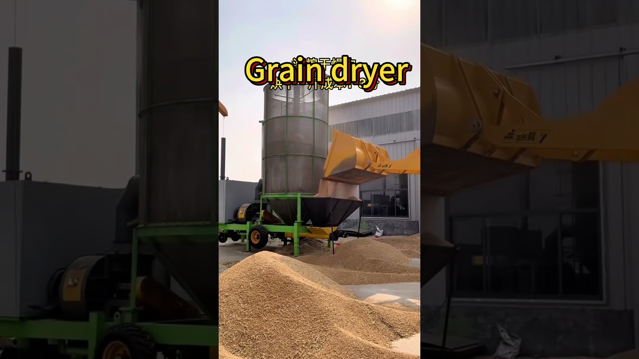 Ultimate Grain Drying Solution for Rice, Corn, Wheat & More!#farmequipment #agriculturalmachinery