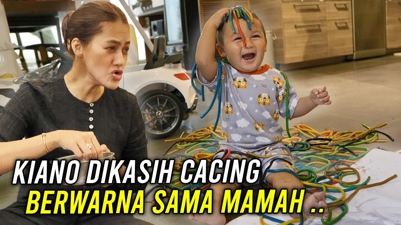 KIANO SENENG BANGET DAPET CACING .. GA PERNAH SEHAPPY INI MUKANYA ‼️