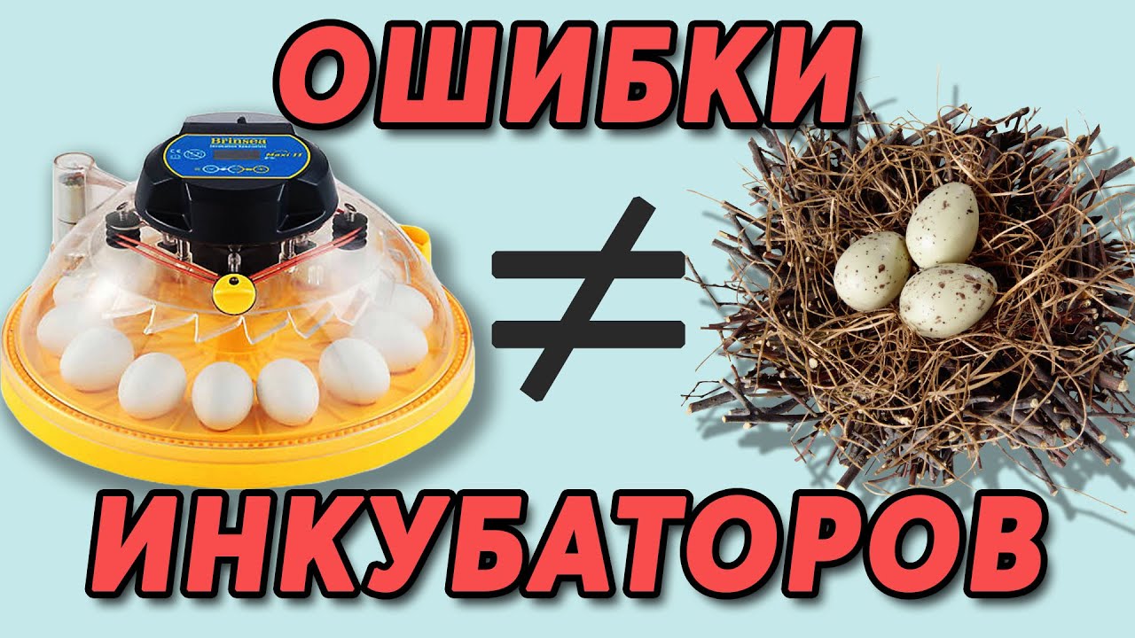 ШКОЛА ИНКУБАТОРОСТРОЕНИЯ №16 | Ваши ошибки в самодельных ИНКУБАТОРАХ для яиц. Продолжение...