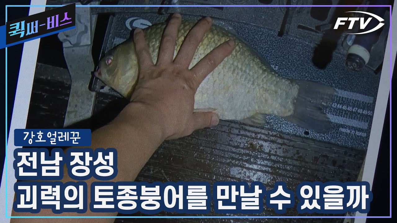 [Full/퀵써-비스]얼레꾼을 애먹이는 괴력의 토종붕어를 만났다?![강호얼레꾼/12회]