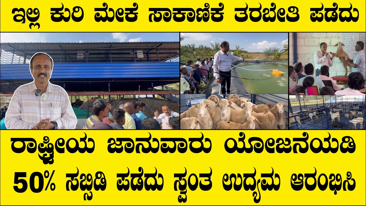 Call 8310024377 ಇಲ್ಲಿ ಕುರಿ ಸಾಕಾಣಿಕೆ ಟ್ರೈನಿಂಗ್ ಪಡೆದರೆ 100% ನೀವು ಕುರಿ ಸಾಕಾಣಿಕೆಯಲ್ಲಿ ಸಕ್ಸಸ್ ಗ್ಯಾರಂಟಿ..
