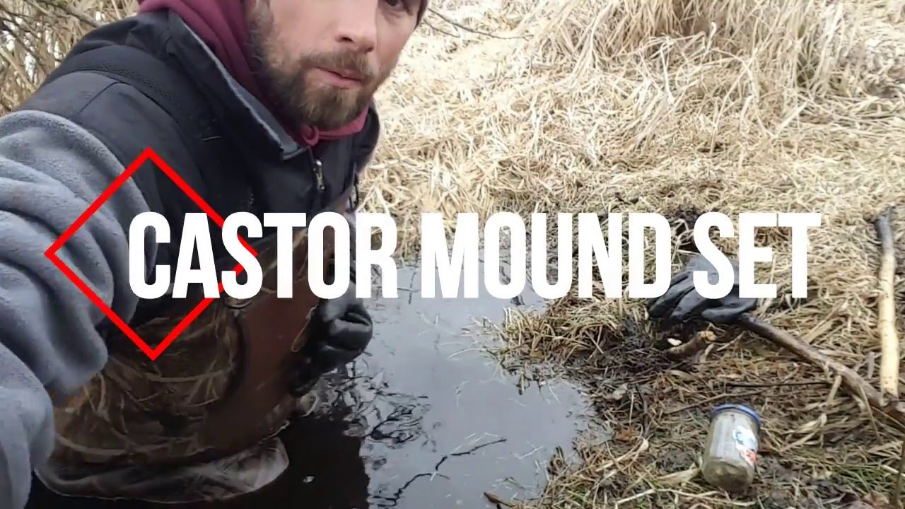 Как сделать наборы Castor Mound с 330-миллиметровыми удилищами и ловушками с зацепами