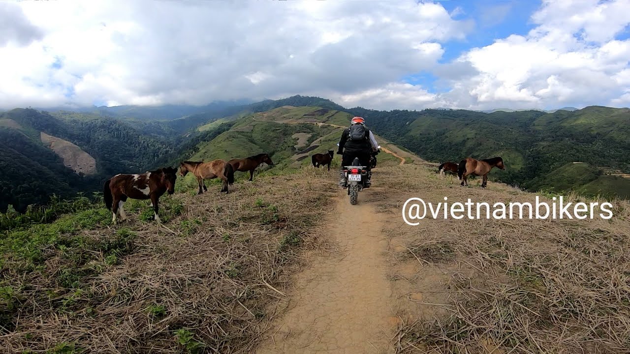 15 Day Trip from Hanoi to Mekong Delta @vietnambikers